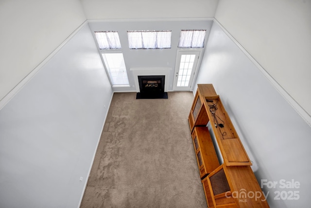 158 Snead Rd, Fort Mill, SC 29715 - photo 21
