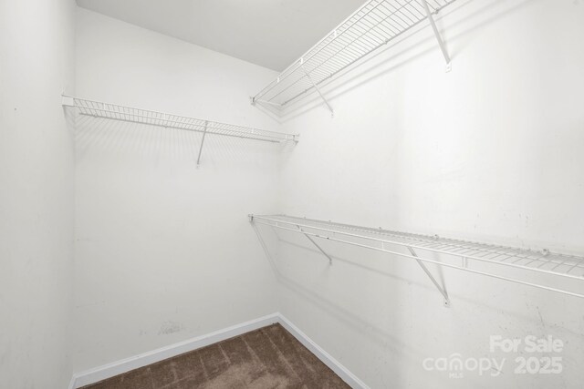 158 Snead Rd, Fort Mill, SC 29715 - photo 28