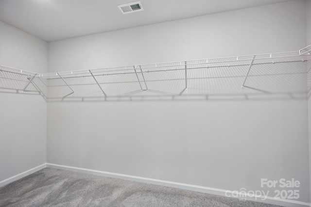 223 Haddonsfield Dr, Mooresville, NC 28115 - walk in closet with carpet floors