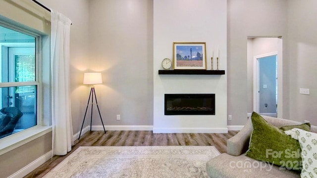 3633 Longpond Ln, Monroe, NC 28110 - living room featuring wood finished floors, a glass covered fireplace, and baseboards