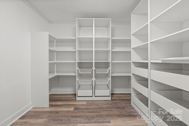 315 Red Barn Trl, Matthews, NC 28104 - view of storage area
