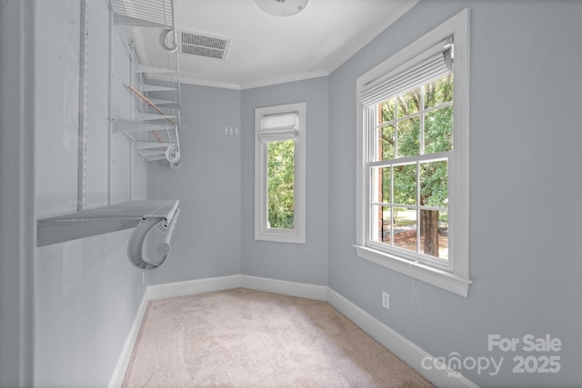315 Red Barn Trl, Matthews, NC 28104 - spacious closet featuring carpet