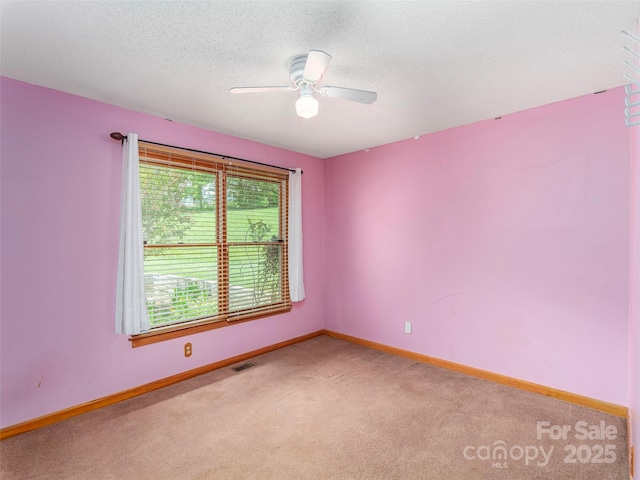 51 Wake Robin Way, Asheville, NC 28805 - unfurnished room with light carpet, ceiling fan, baseboards, and a textured ceiling