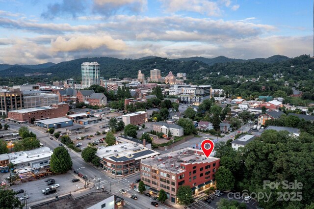 100 Coxe Ave Unit 309, Asheville, NC 28801 - photo 30