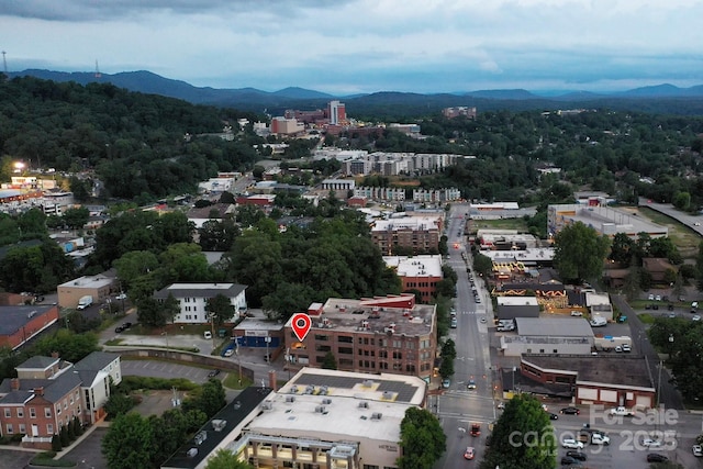 100 Coxe Ave Unit 309, Asheville, NC 28801 - photo 32