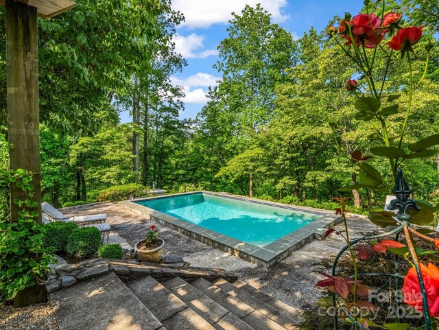 11 Hearthstone Ln, Landrum, SC 29356 - photo 10