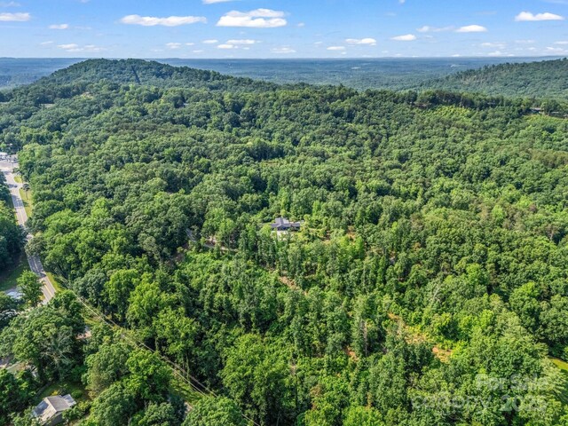 11 Hearthstone Ln, Landrum, SC 29356 - photo 45
