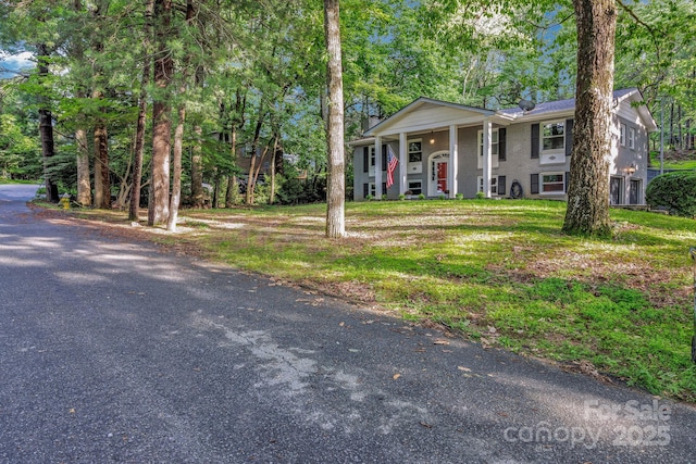 169 Echo Dr, Laurel Park, NC 28739 - photo 6