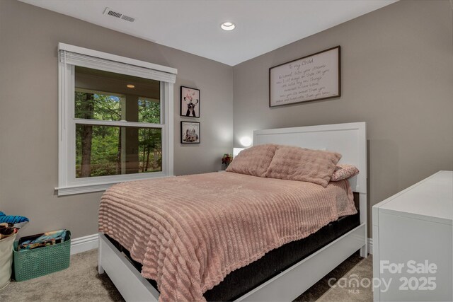 169 Echo Dr, Laurel Park, NC 28739 - photo 33