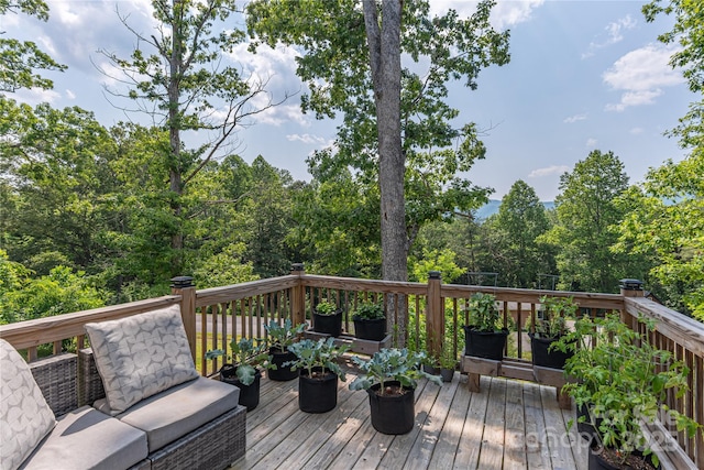 17 Baxter Woods Ln, Candler, NC 28715 - view of deck