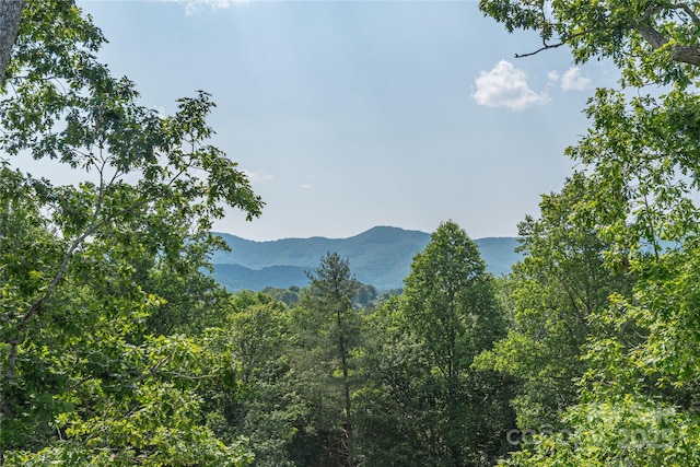 17 Baxter Woods Ln, Candler, NC 28715 - view of mountain backdrop featuring a heavily wooded area