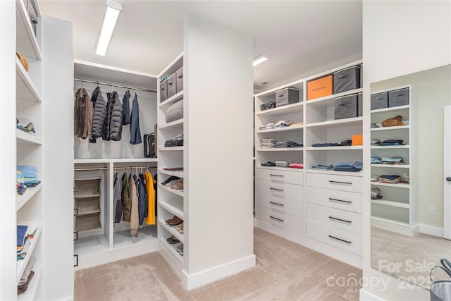 17 Baxter Woods Ln, Candler, NC 28715 - spacious closet with light colored carpet