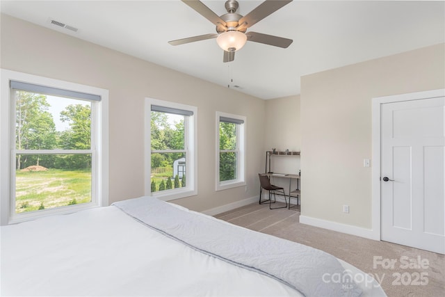 17 Baxter Woods Ln, Candler, NC 28715 - bedroom featuring light colored carpet and ceiling fan