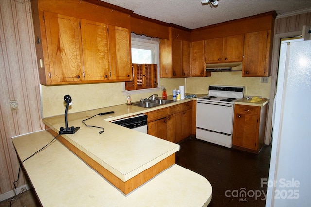 402 Villa St, Kannapolis, NC 28083 - kitchen featuring white appliances, under cabinet range hood, a sink, light countertops, and brown cabinetry