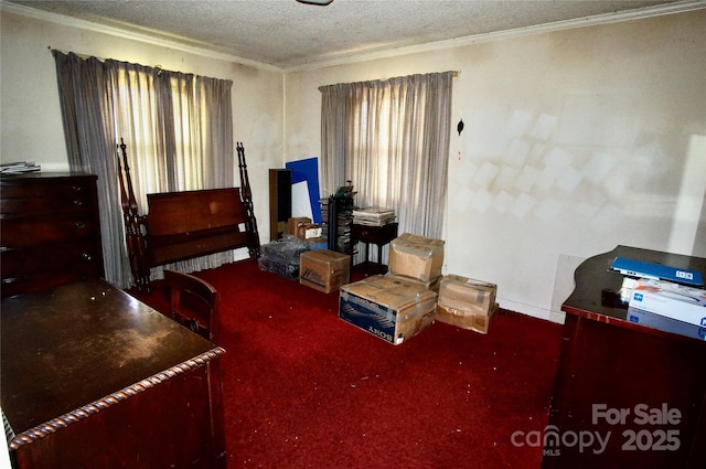 402 Villa St, Kannapolis, NC 28083 - bedroom with crown molding, carpet floors, a textured ceiling, and multiple windows