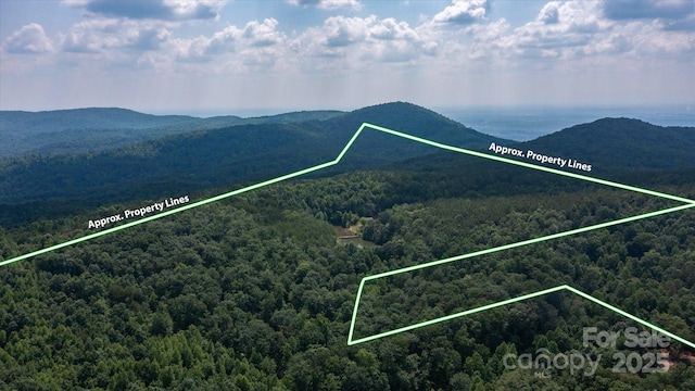99999 Mason Rd, Ellenboro, NC 28040