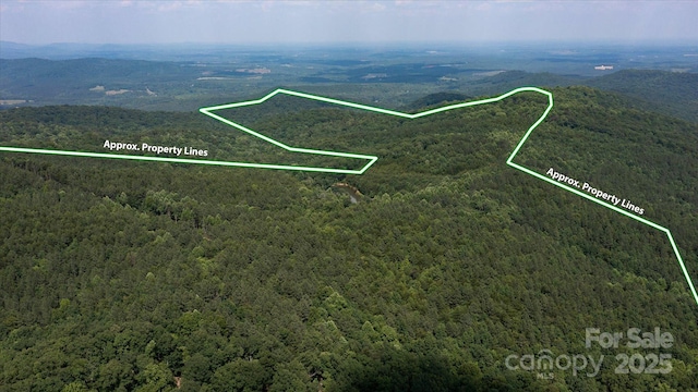 99999 Mason Rd, Ellenboro, NC 28040