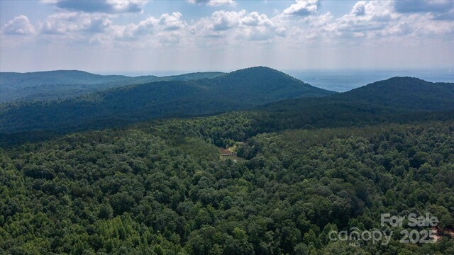 99999 Mason Rd, Ellenboro, NC 28040