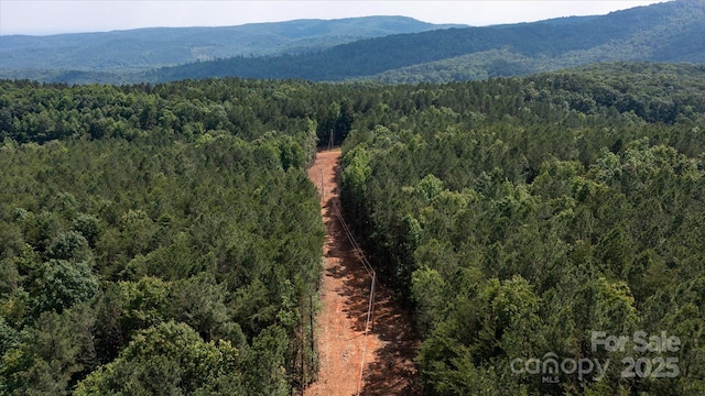 99999 Mason Rd, Ellenboro, NC 28040