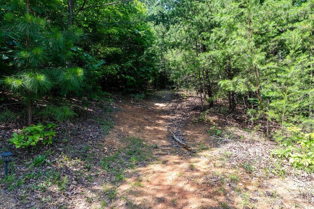 99999 Mason Rd, Ellenboro, NC 28040