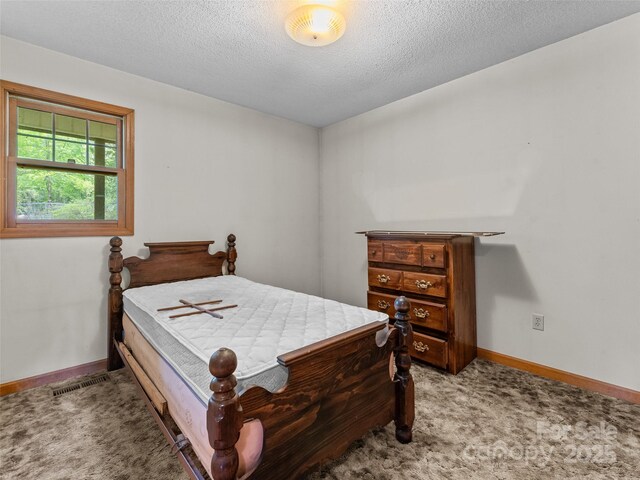 48 Israel Rd, Brevard, NC 28712 - photo 12