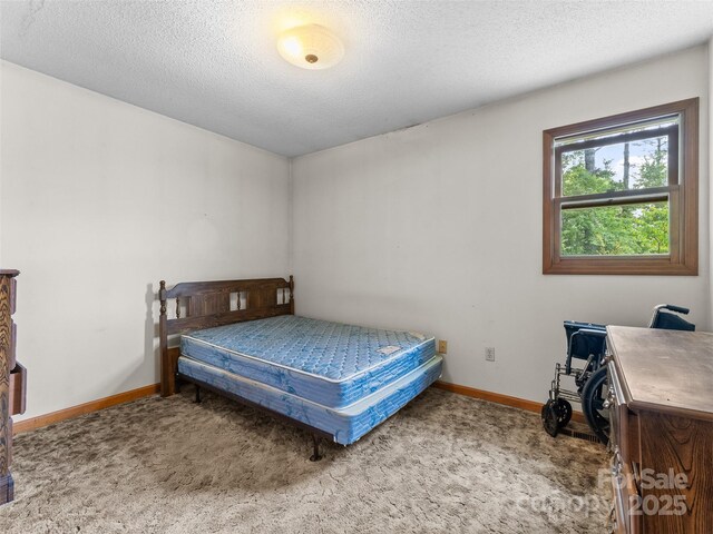48 Israel Rd, Brevard, NC 28712 - photo 13