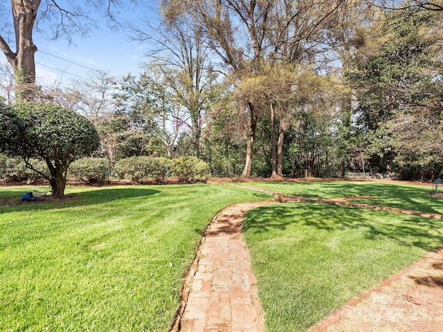 1950 Overhill Rd, Charlotte, NC 28211 - photo 30