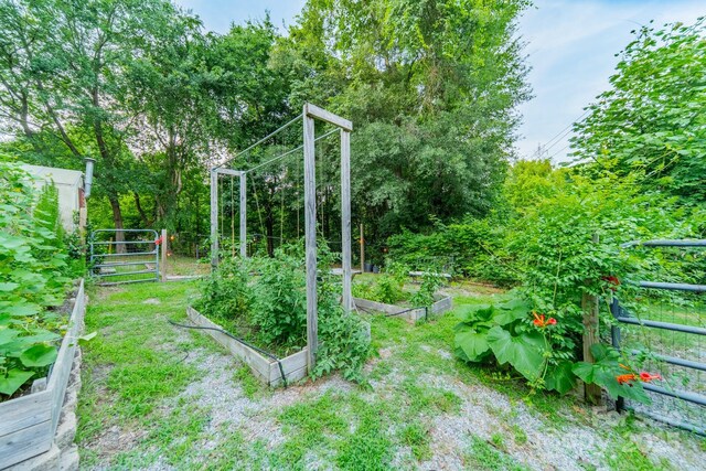 7901 Bud Henderson Rd, Huntersville, NC 28078 - view of yard with a garden