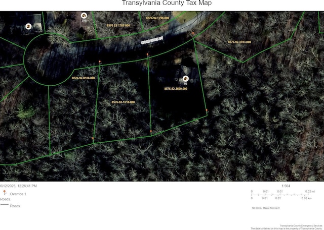 93 Wood Duck Ct, Brevard, NC 28712 - aerial view of property's location featuring property boundaries highlighted