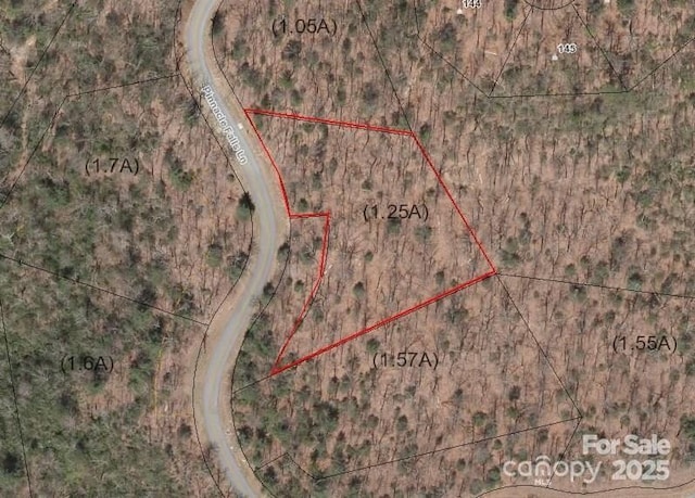 0 Pinnacle Falls Ln Unit 23, Zirconia, NC 28790