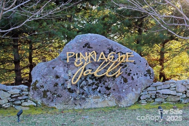0 Pinnacle Falls Ln Unit 23, Zirconia, NC 28790