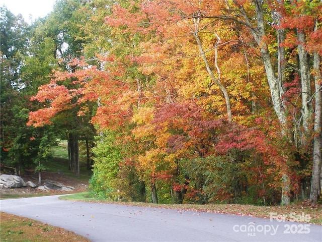 0 Pinnacle Falls Ln Unit 23, Zirconia, NC 28790