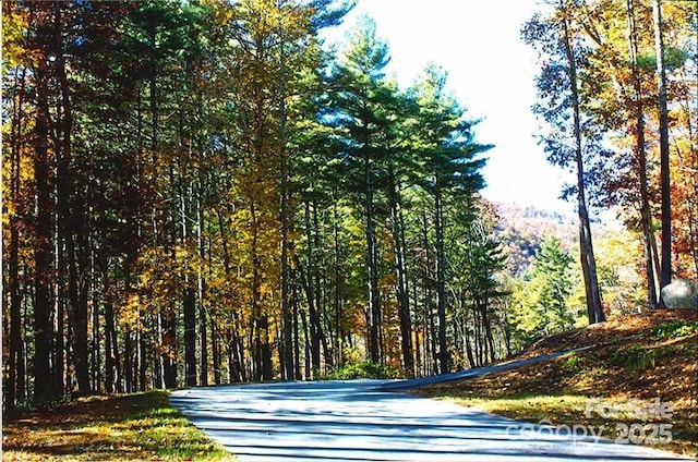 0 Pinnacle Falls Ln Unit 23, Zirconia, NC 28790
