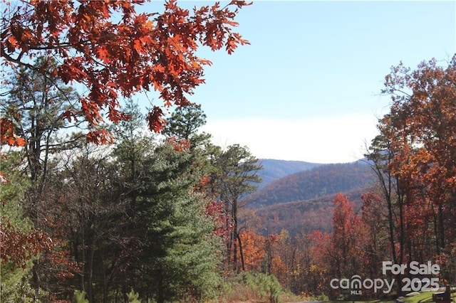 0 Pinnacle Falls Ln Unit 23, Zirconia, NC 28790