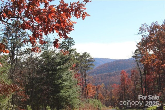 0 Pinnacle Falls Ln Unit 23, Zirconia, NC 28790 - photo 9