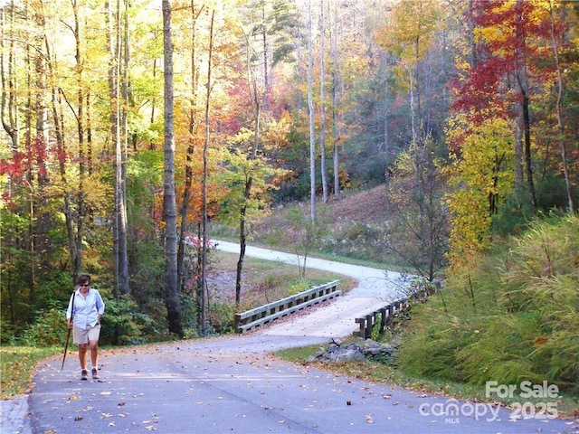 0 Pinnacle Falls Ln Unit 23, Zirconia, NC 28790