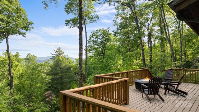48 Bearfoot Ln, Highlands, NC 28741 - photo 4