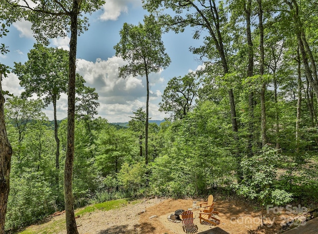 48 Bearfoot Ln, Highlands, NC 28741 - photo 27