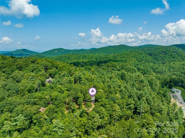48 Bearfoot Ln, Highlands, NC 28741 - photo 30