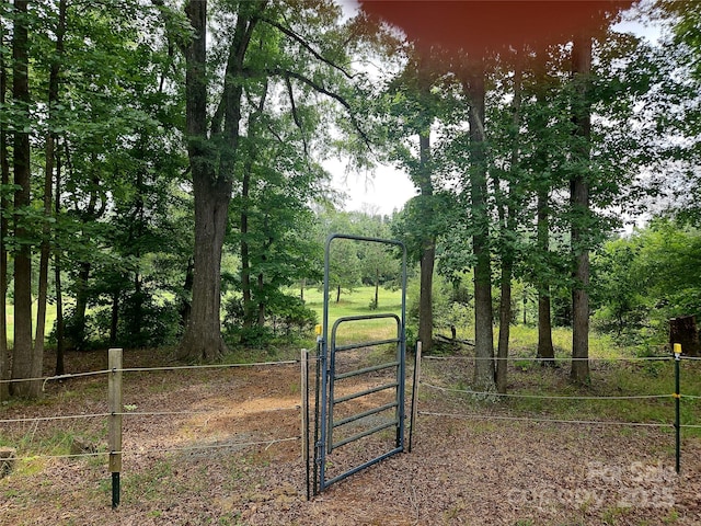 2905 Medlin Rd, Monroe, NC 28112 - view of gate