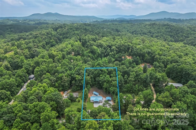 1593 Yancey Rd, Marion, NC 28752 - photo 38