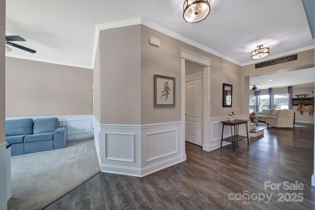 5424 Tilley Manor Dr, Matthews, NC 28105 - corridor with dark wood-style floors, crown molding, and wainscoting