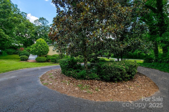 205 N Lee St, Jefferson, SC 29718 - photo 7
