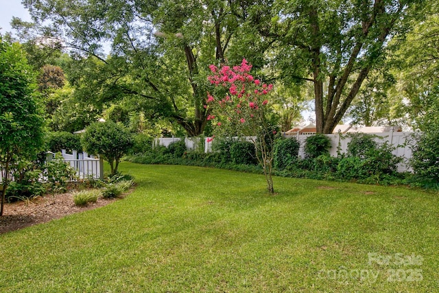 205 N Lee St, Jefferson, SC 29718 - photo 9