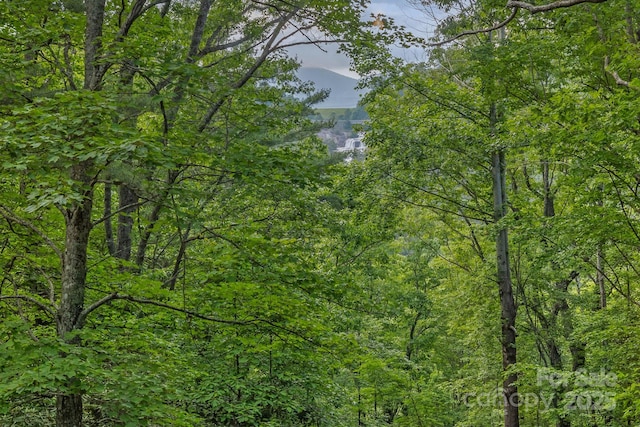 193 Falls View Dr, Lake Toxaway, NC 28747 - view of woods