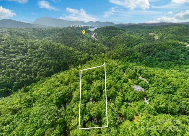 193 Falls View Dr, Lake Toxaway, NC 28747 - aerial overview of property's location featuring mountains and property parcel outlined