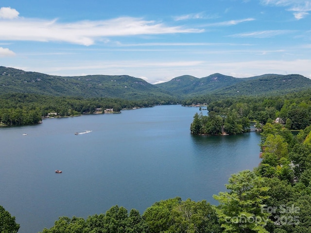 193 Falls View Dr, Lake Toxaway, NC 28747 - water view featuring a mountainous background and a heavily wooded area