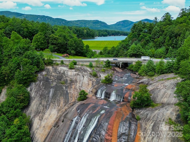 193 Falls View Dr, Lake Toxaway, NC 28747 - aerial view of property and surrounding area featuring a water and mountain view and a heavily wooded area