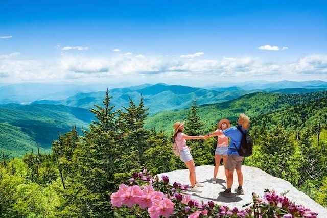 193 Falls View Dr, Lake Toxaway, NC 28747 - view of mountain background with a forest