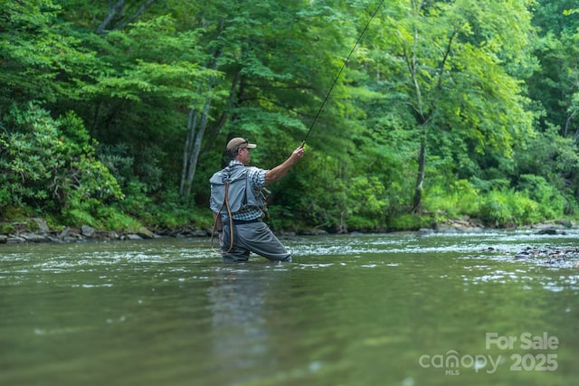 193 Falls View Dr, Lake Toxaway, NC 28747 - water view with a heavily wooded area